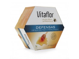 Imagen del producto Vitaflor defensas equinacea 20 viales