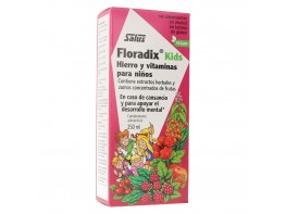 Imagen del producto Floradix kids 250ml