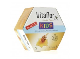 Vitaflor Kids Jalea Real ampolla bebible 20 viales